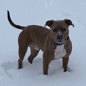 Meet your Posher, Lisa